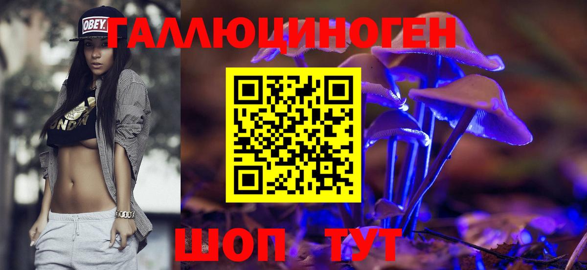где продают наркотики  Галлюциногенные грибы Psilocybe  Вход с VPN  Юрга 